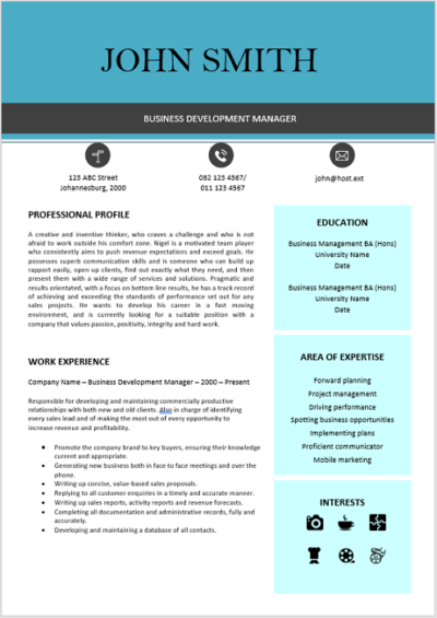 Business Development Curriculum Vitae - Professional CV Templates