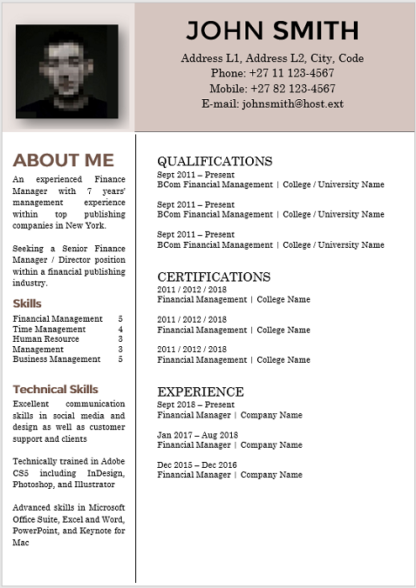 Modern 0002 Brown Gold Curriculum Vitae