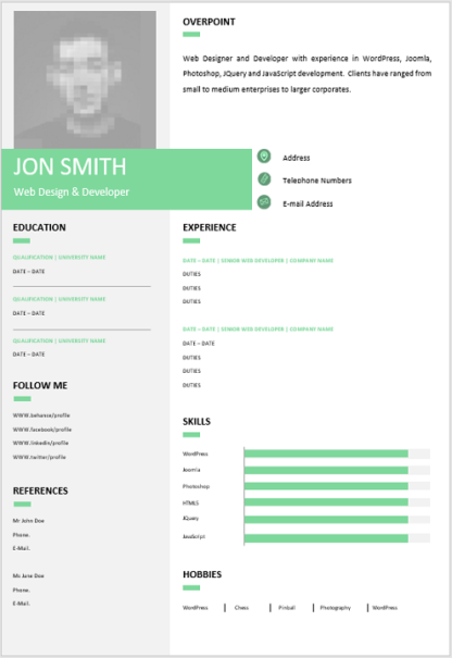 Modern 0004 Green Grey Curriculum Vitae