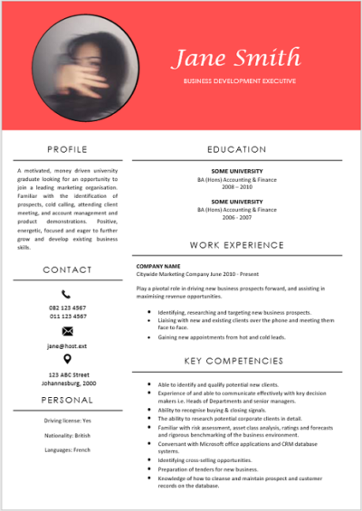 Business Development Exec Curriculum Vitae - Professional CV Templates